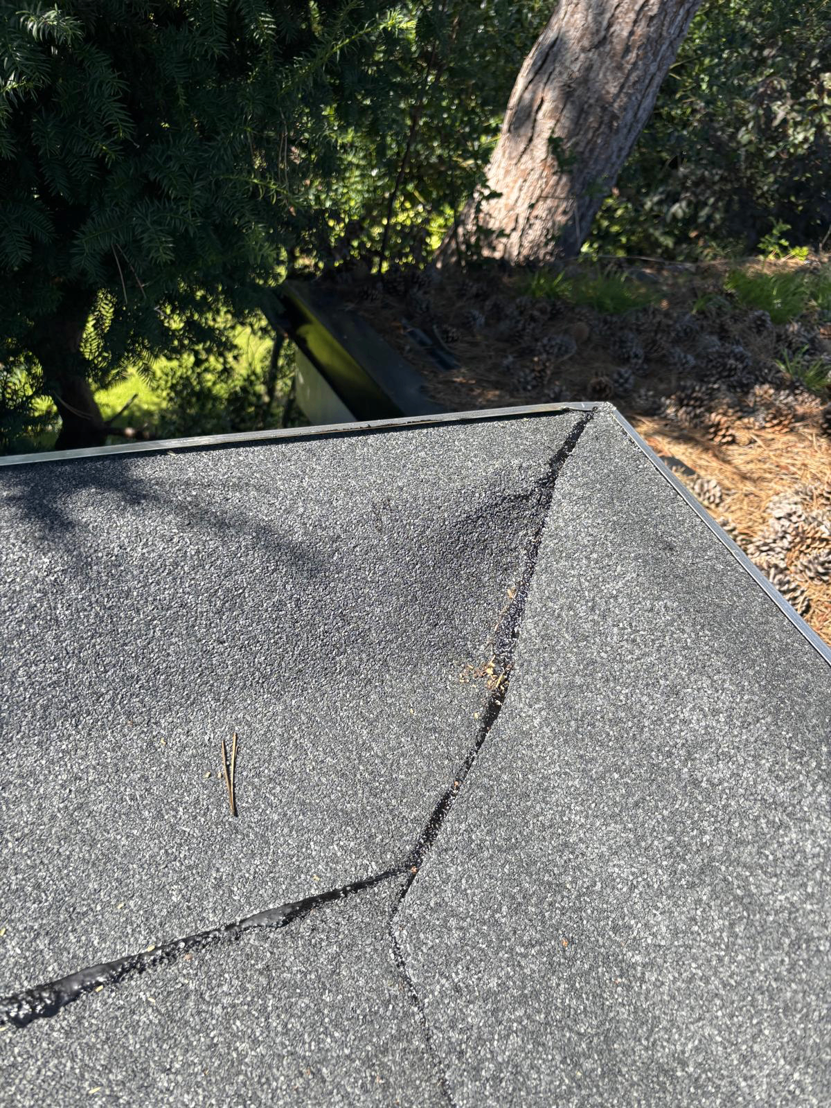 Zonnepanelen tijdelijk verwijderd tijdens dakrenovatie Heiloo